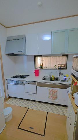 Kitchen. Indoor (10 May 2013) Shooting