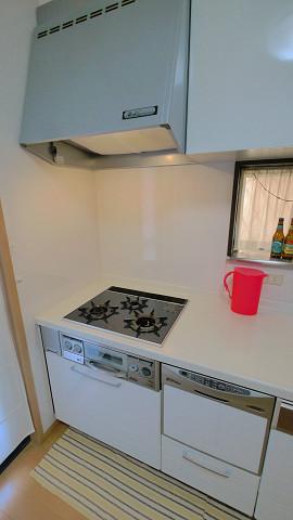 Kitchen. Indoor (10 May 2013) Shooting