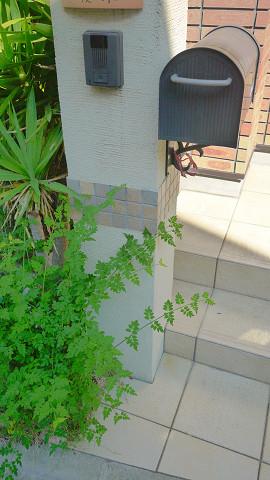 Local appearance photo. Local (10 May 2013) Shooting