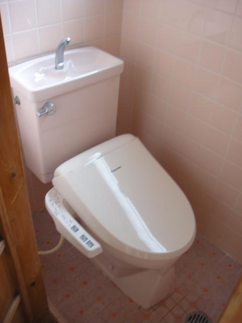 Toilet. Indoor (February 2013) Shooting