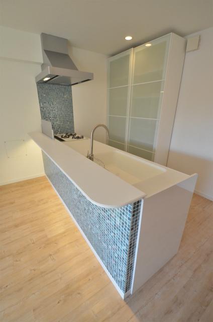 Kitchen. Indoor (11 May 2013) Shooting