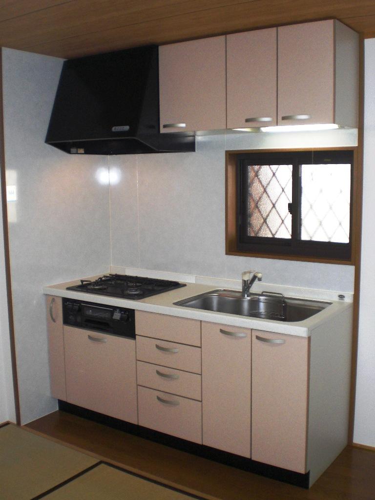 Kitchen. Indoor (11 May 2013) Shooting