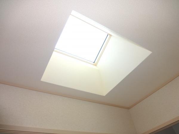 Other introspection. Light space full of plugging from skylight