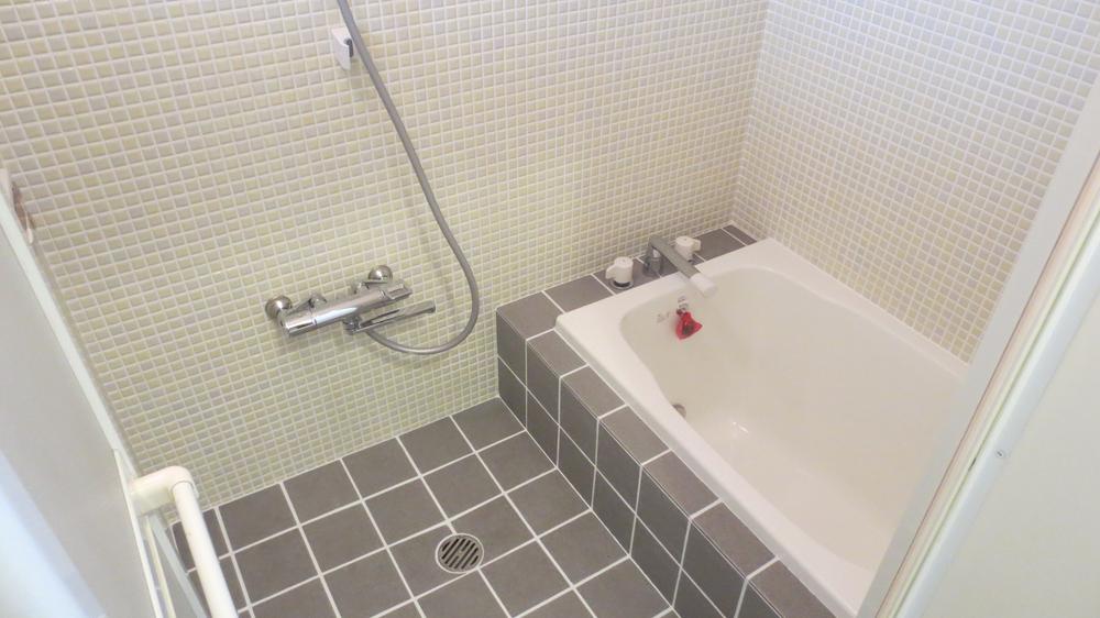 Bathroom. Indoor (12 May 2013) Shooting