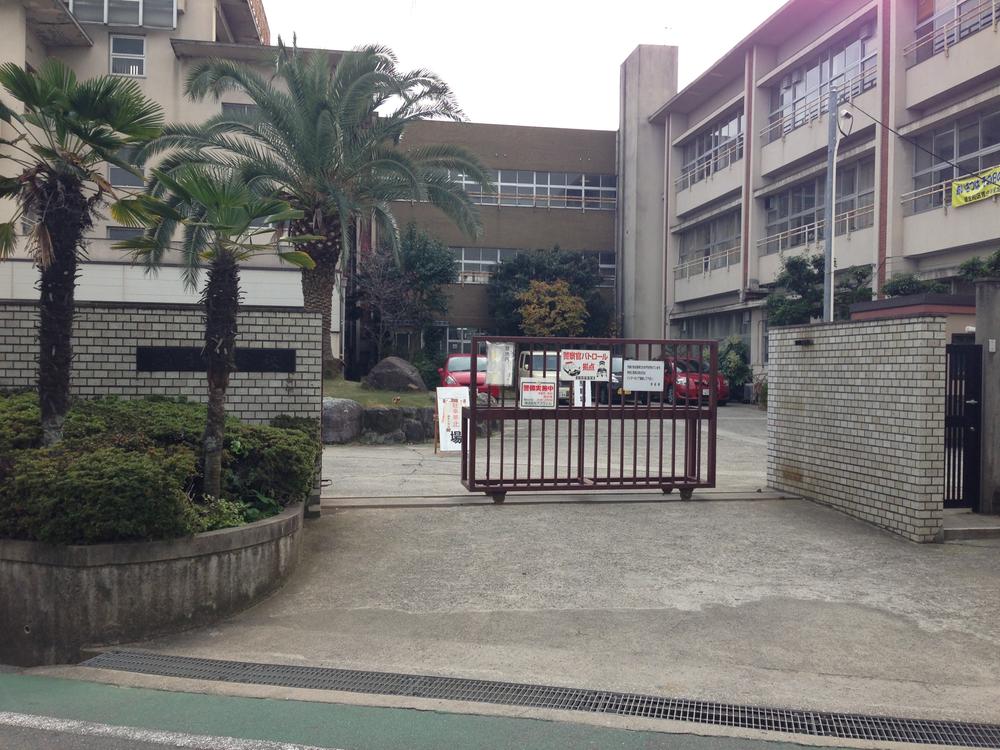 Primary school. Home Sweet Home Elementary School