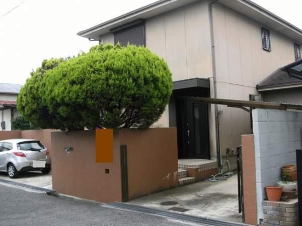 Local appearance photo