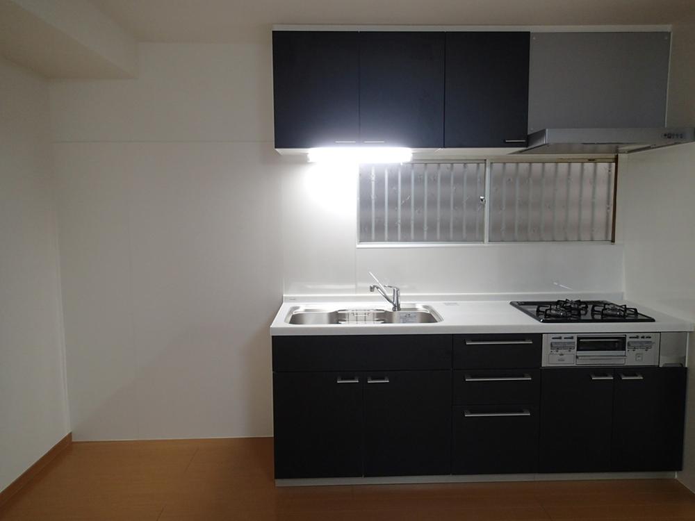 Kitchen. Indoor (06 May 2013) Shooting