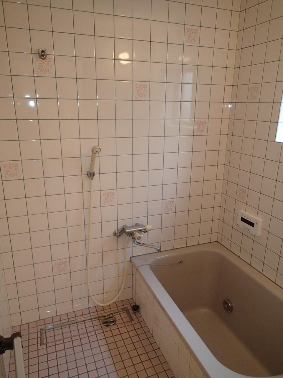 Bathroom. Indoor (07 May 2013) Shooting