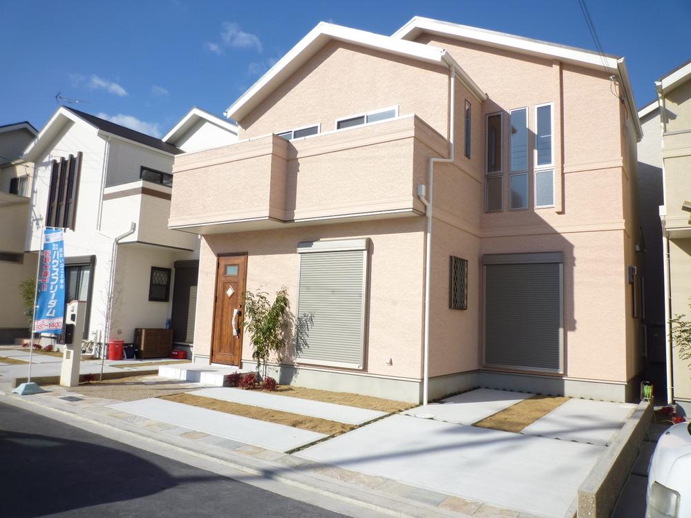 Local appearance photo. South-facing bright house was completed