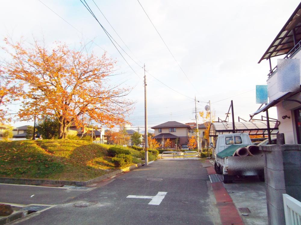 Local photos, including front road. local, Shooting from the north side of the road