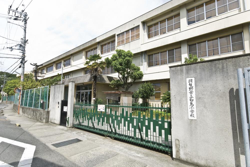 Primary school. 175m until the swan elementary school