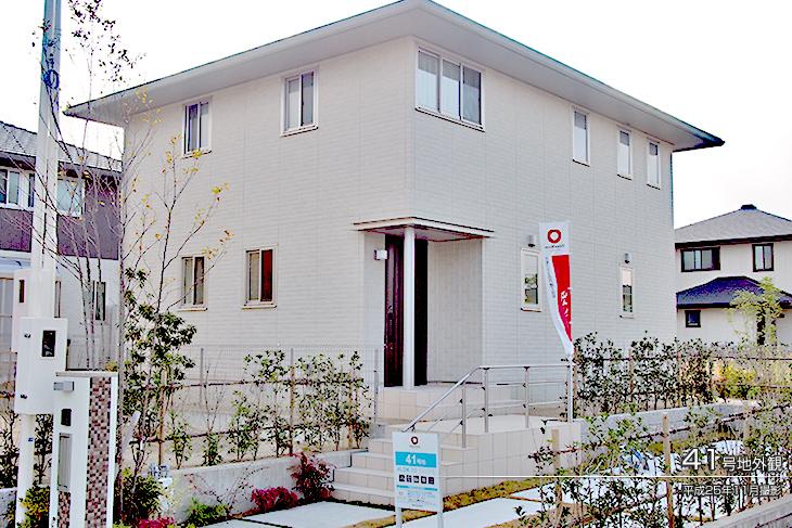 Local appearance photo.  [No. 41 place] Appearance Photo] 2013 November shooting