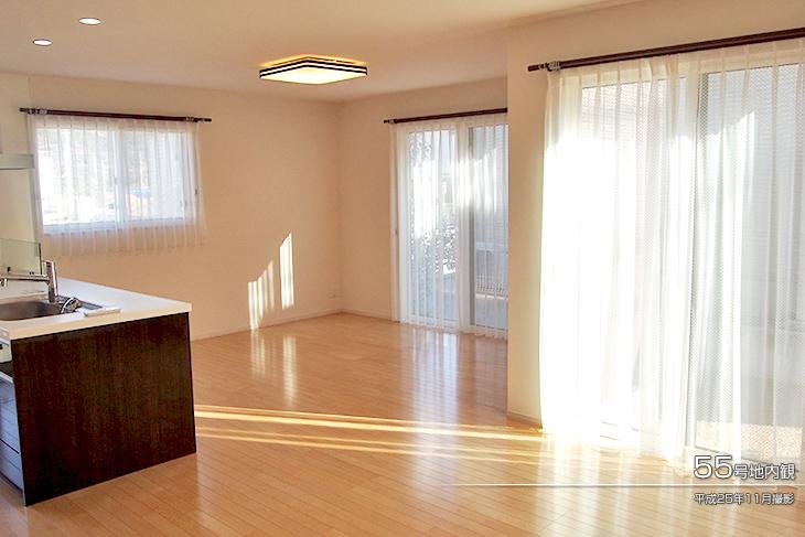 Living.  [No. 55 place] [Introspection Photo] 2013 November shooting