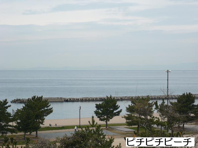 Other. Beaches (Pichi Beach)