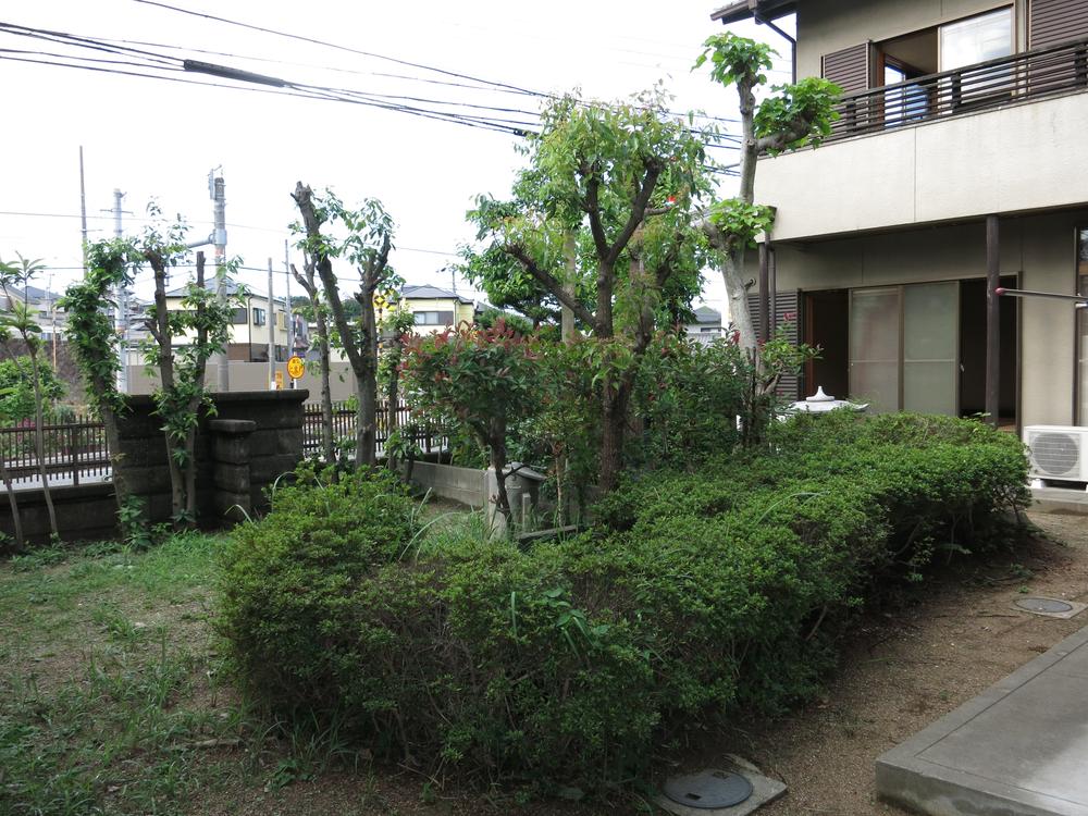 Garden. Local (10 May 2013) Shooting