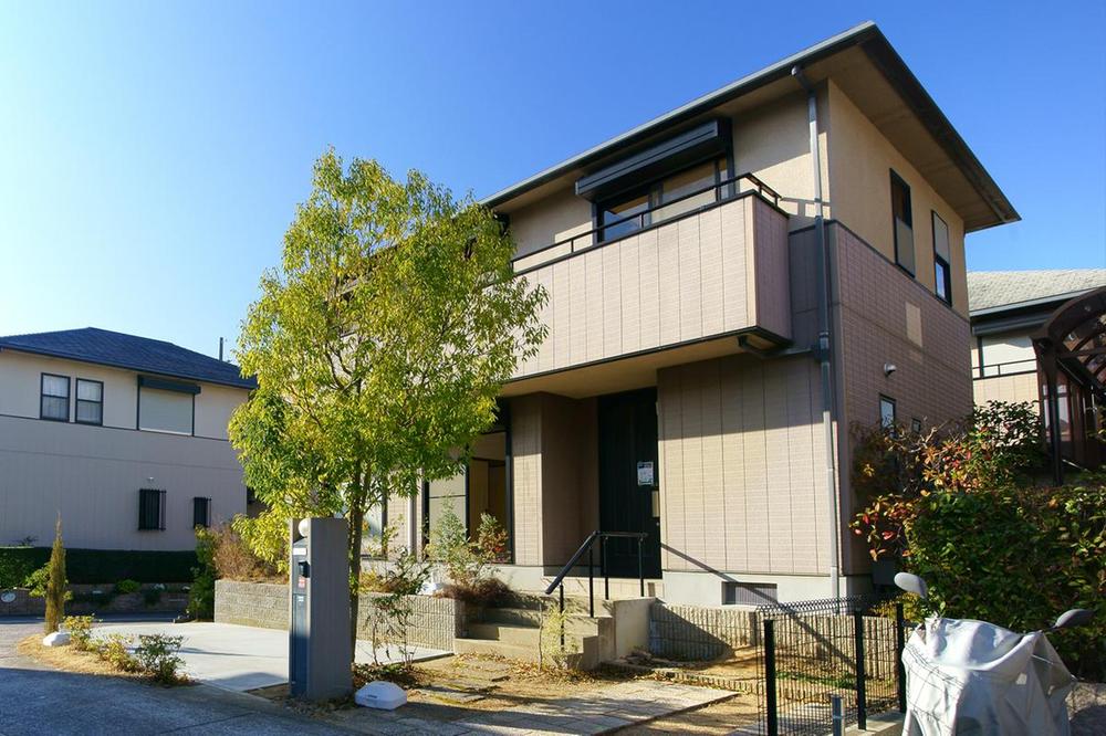 Local appearance photo. December 2013 shooting