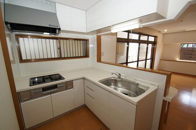 Kitchen. LIXIL party systems kitchen replacement already