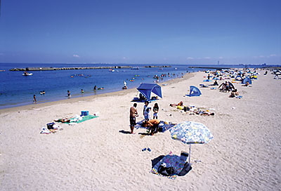 Other Environmental Photo. Pichi to the beach 3300m beautiful white sand of the coast continues, Immediately go by car (about 5 minutes by car)
