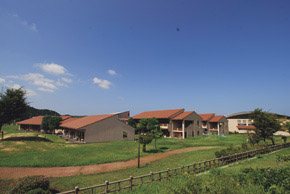 Other Environmental Photo. The idyllic landscape, such as the illustration of 240m picture book to Momonokidai elementary school, Involuntarily impressed. Educational institutions of this city, Roof is a trade-mark of orange