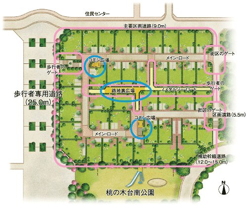The entire compartment Figure. Local compartment Figure