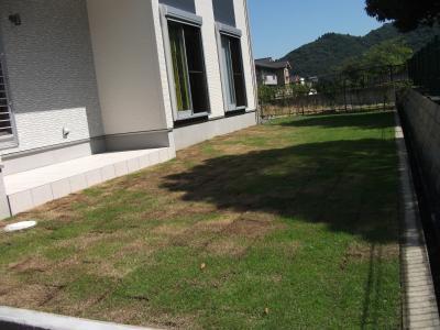 Garden. South park adjacent wide garden. Day super good!