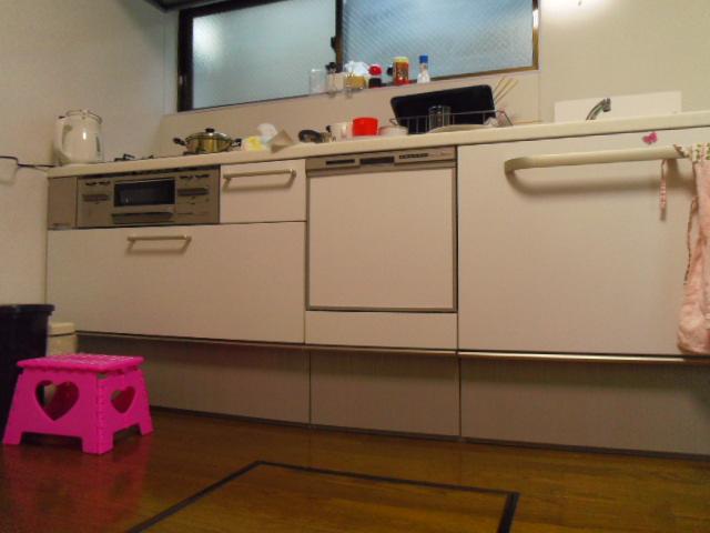 Kitchen. Indoor (11 May 2013) Shooting