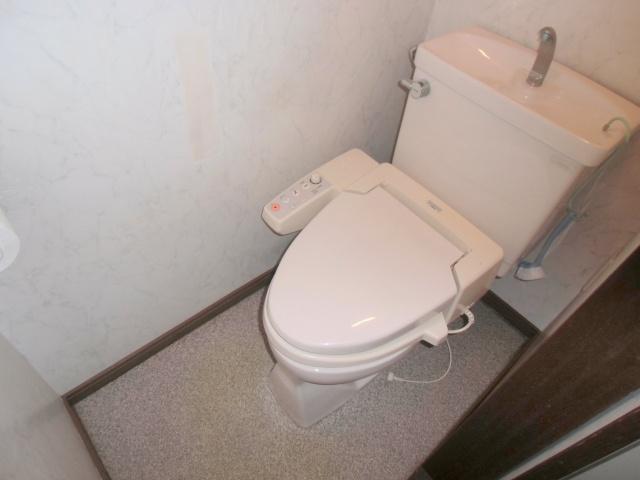 Toilet. It is a high-function toilet