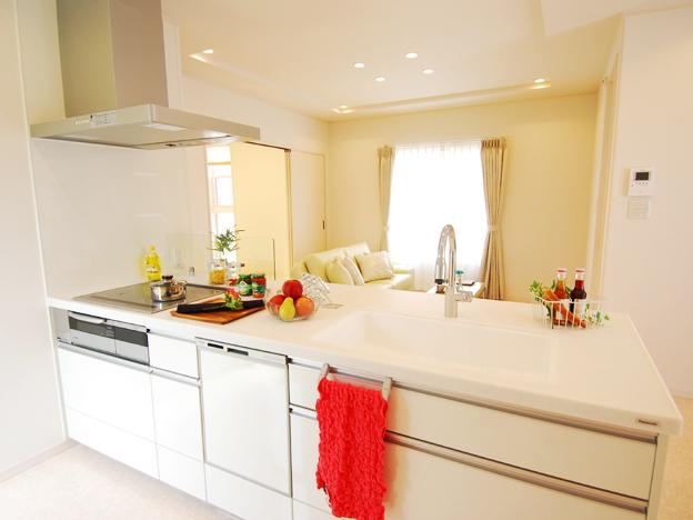 Kitchen. A very functional kitchen, You Hakadori also dishes of wife.  [Other construction site]