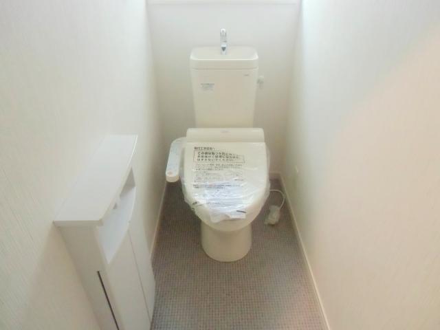 Toilet. With hot water cleaning function