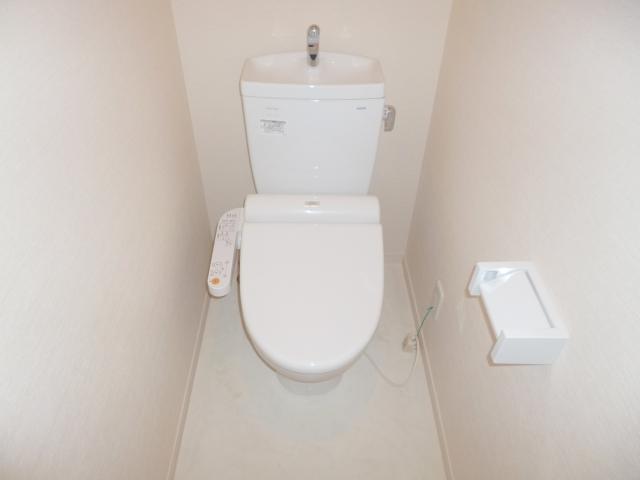 Toilet. With hot water cleaning function