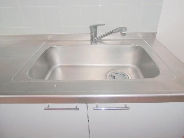 Kitchen. Spacious sink