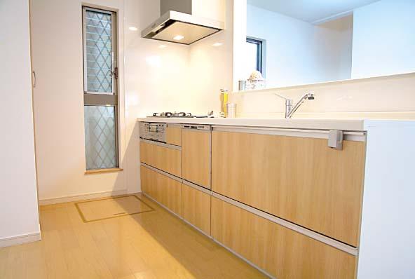 Kitchen. Model house (kitchen)