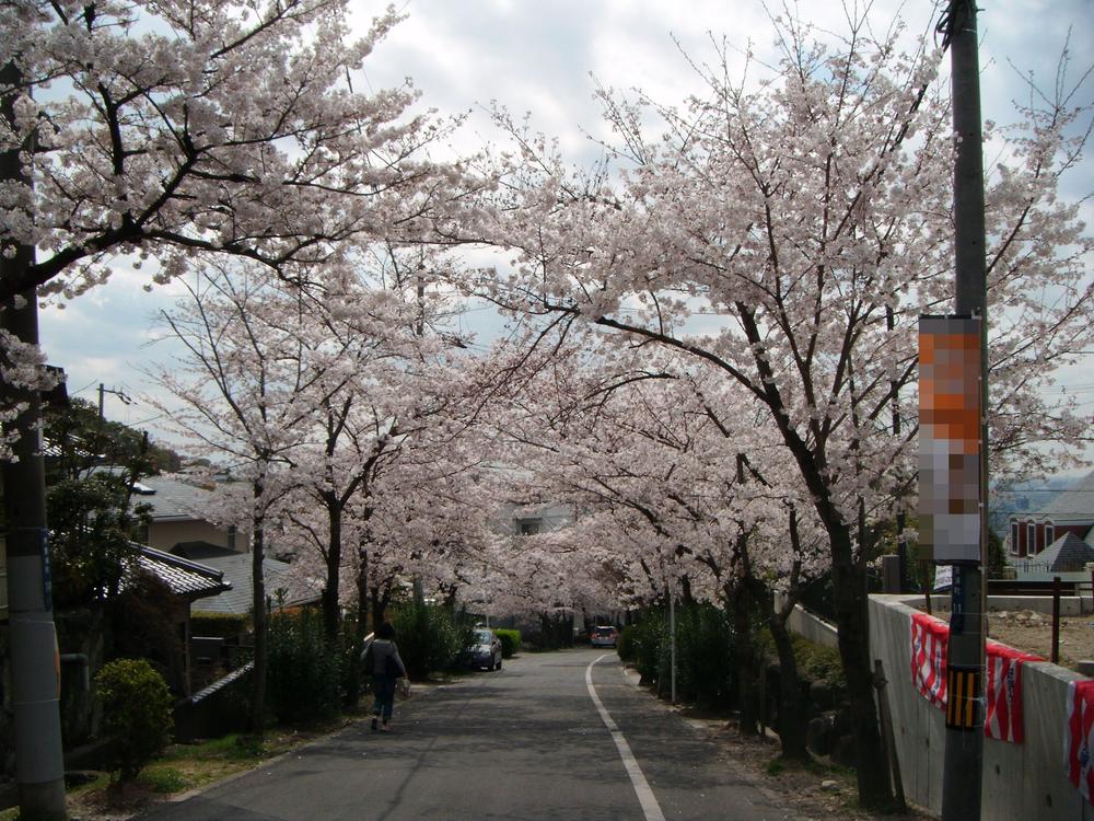 Same specifications photos (Other introspection)