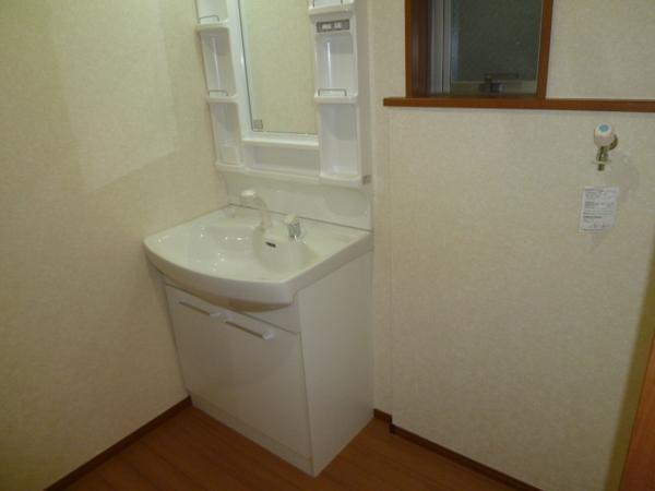 Wash basin, toilet. Vanity with excellent shower in storage capacity and functionality