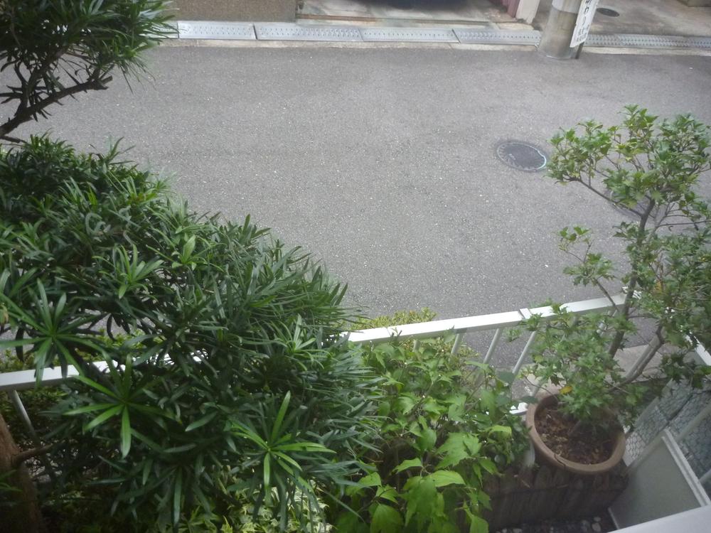 Garden. It brought up the plant