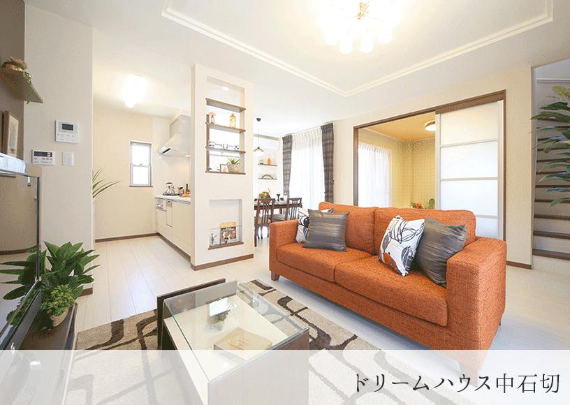 Other. Dream House Nakaishikiri (our construction cases)