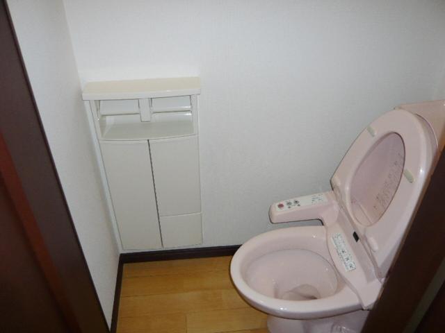 Toilet. Indoor (September 2013) Shooting