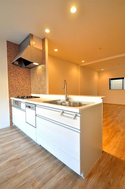 Kitchen. Indoor (September 2013) Shooting