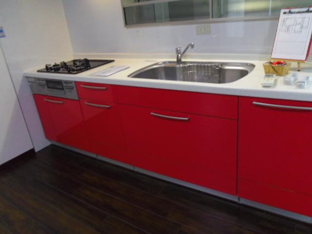 Kitchen. Indoor (12 May 2013) Shooting