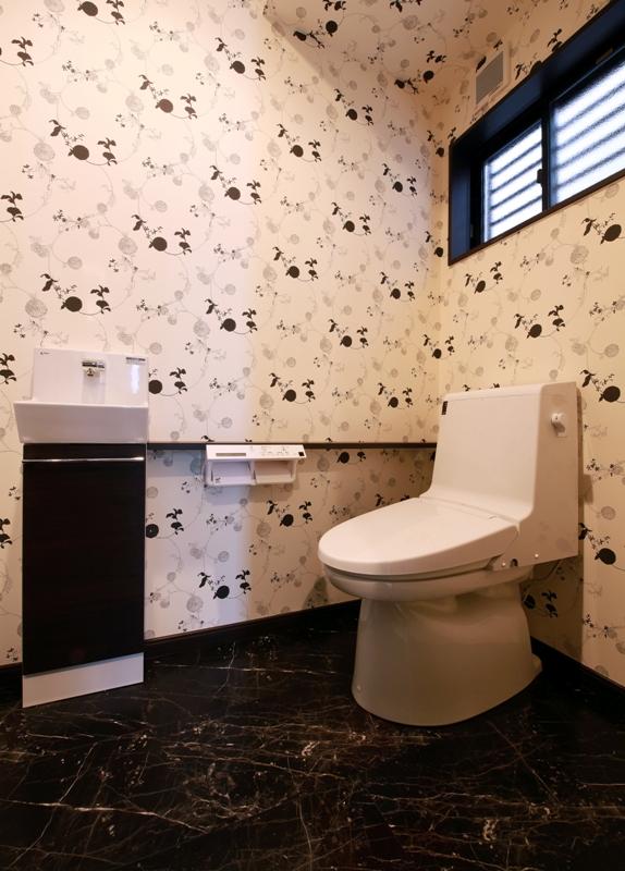 Toilet. Past of construction cases