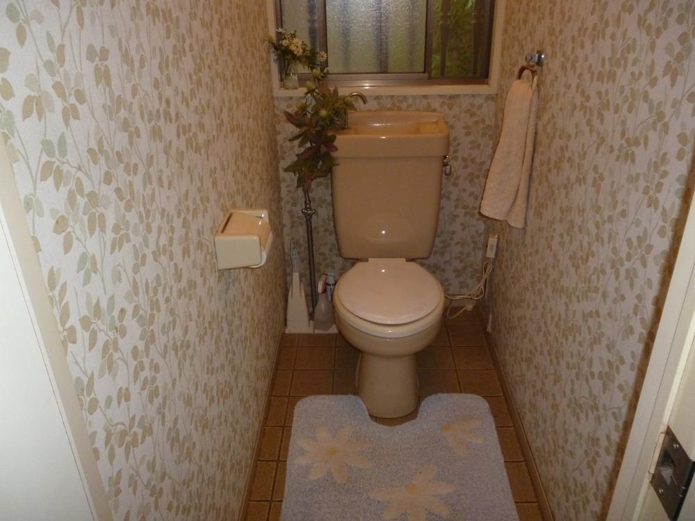 Toilet. Indoor (12 May 2013) Shooting