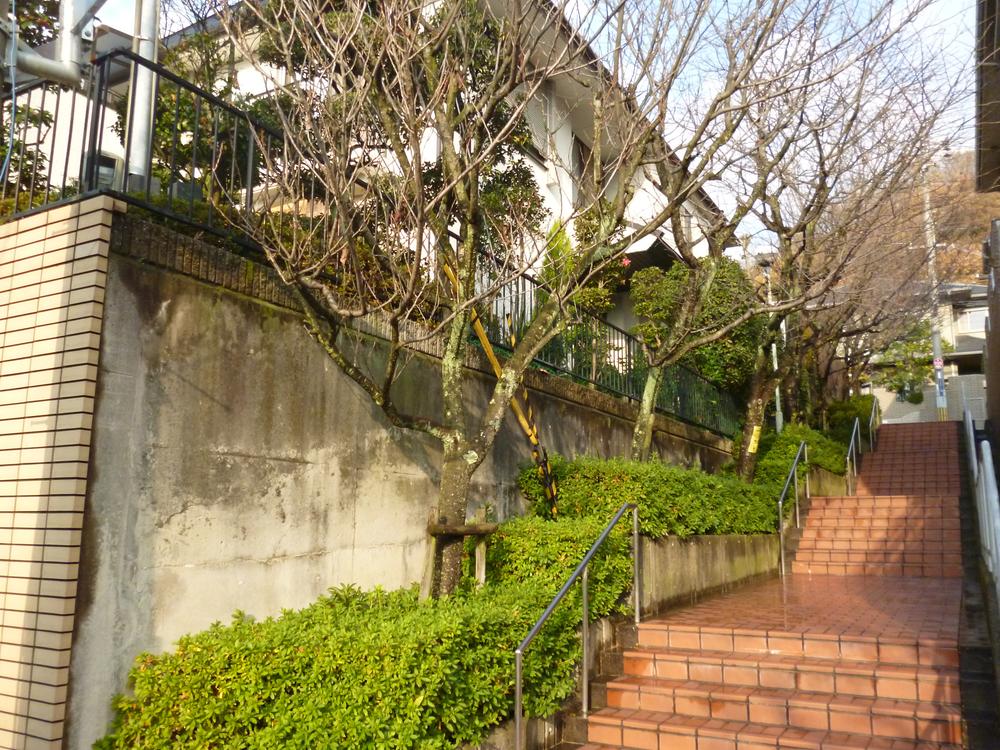 Other local. Local (12 May 2013) Shooting