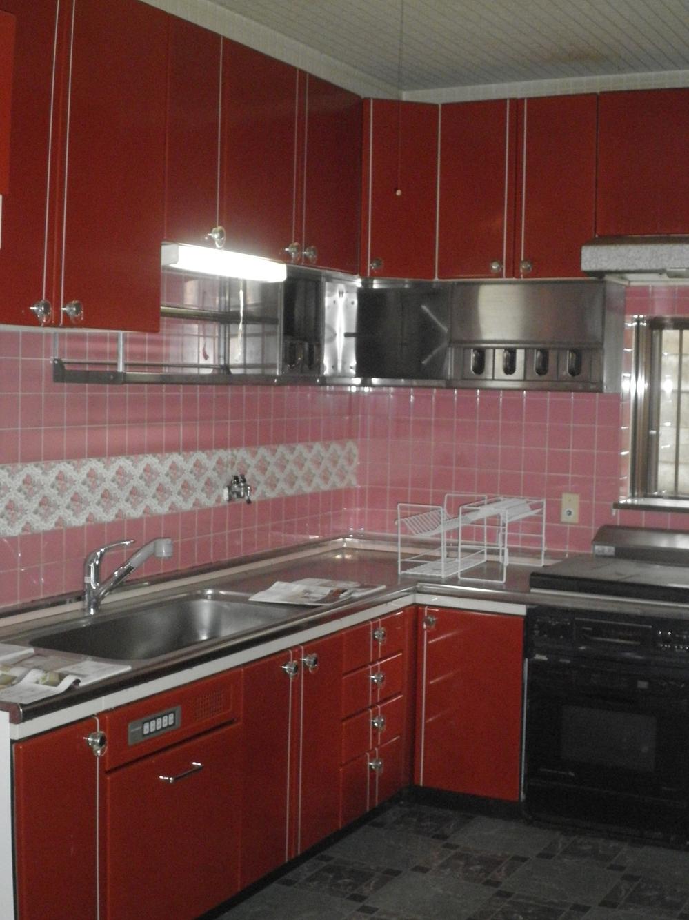 Kitchen. L-shaped kitchen 