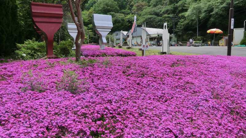 park. 699m to Kano green space