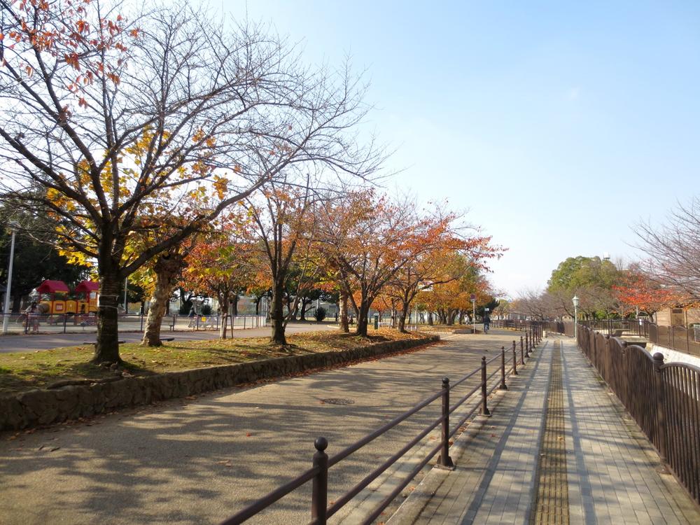 Other local. Local (12 May 2013) Shooting