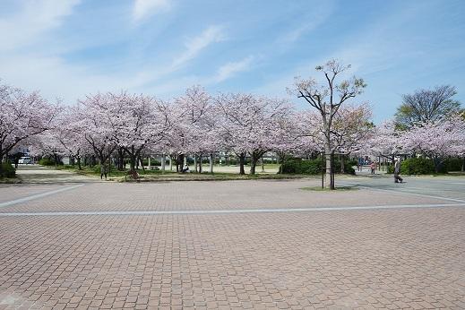 park. Is the Holy Land of 1600m rugby to Hanazono Central Park is a flower garden central park with a "Garden rugby field."