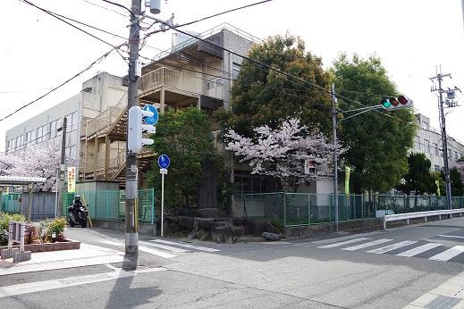 Primary school. 480m to City Garden Elementary School