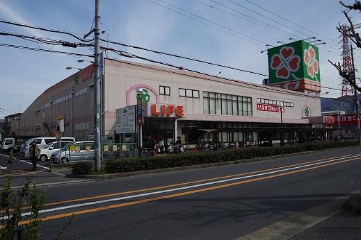 Supermarket. 160m to super life sacred Shinto tree branch store