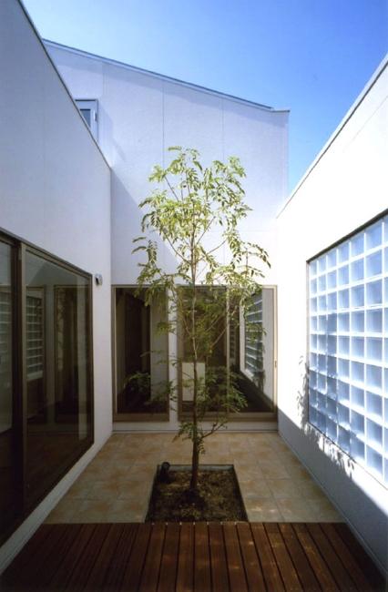 Garden. Courtyard image
