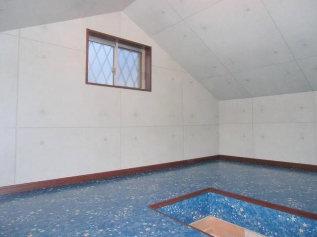 Other. Attic storage! 